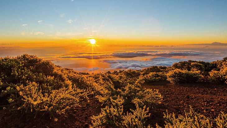 Caldera de Taburiente National Park